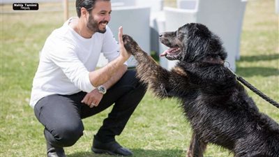 الجمعة.. مهرجان الرحمة بالحيوان بنادي فروسية القوات المسلحة