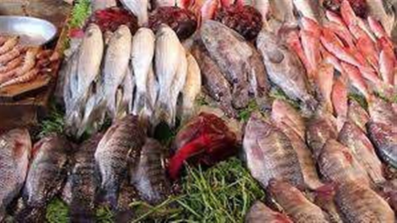 اسعار السمك