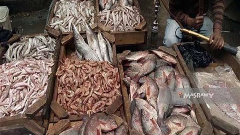 اسعار أسماك اليوم