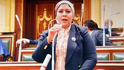 برلمانية: انضمام مصر لـ 