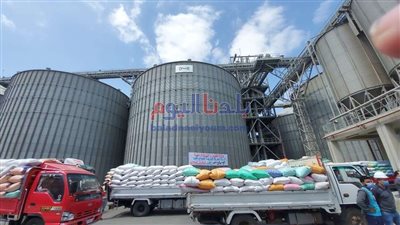 محافظ البحيرة: توريد ١٩٢٠٩٧.٨٨٦ طن قمح للصوامع والشون