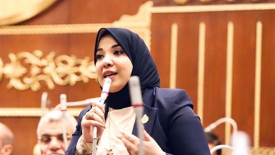 النائبة دينا هلالي تنظم زيارات لدور المسنين.. وتؤكد على أهمية إثراء العمل التطوعي
