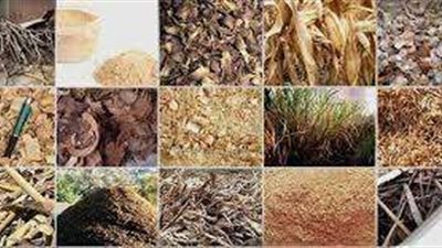 تُحرق أو تُلقى في المصارف.. المخلفات الزراعية كنز ضائع