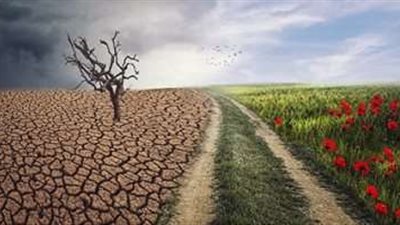 تعرف على أهم مشروعات قطاع النقل الصديق للبيئة