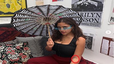 بمصاريف خيالية.. معلومات لا تعرفها عن المدرسة التي أرادت طرد ابنة عمرو دياب