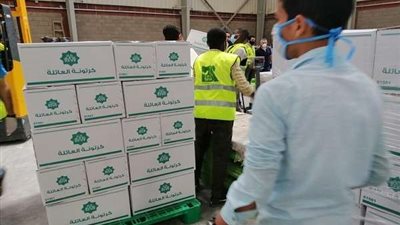 مصر الخير تدعم مستشفى العريش العام بكميات من المستلزمات الطبية