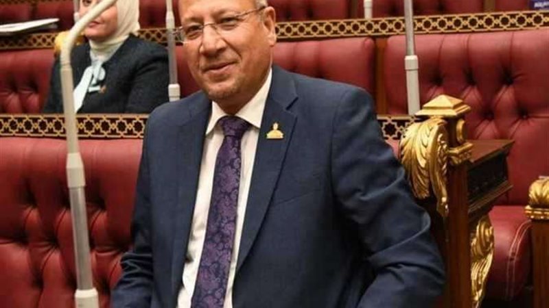 النائب عمرو عكاشة