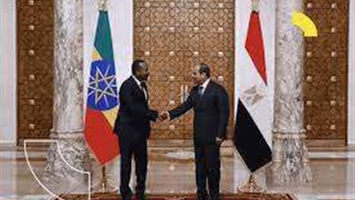 خبير الشئون الإفريقية: مصر تحركت للحل في السودان منذ بداية الأزمة.. فيديو