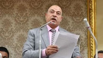 برلماني: المجتمع الدولي يشيد بالدور التاريخي لمصر لإنهاء الأزمة السودانية