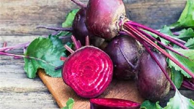 خبير: نستعد لزراعة 750 ألف فدان بالبنجر.. فيديو