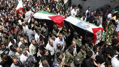 وقف إطلاق النار فى غزة سيعمل على تقليل الضحايا وإنعاش غزة مرة أخري .. برلمانى يوضح