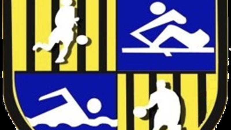 null المقاولون العرب