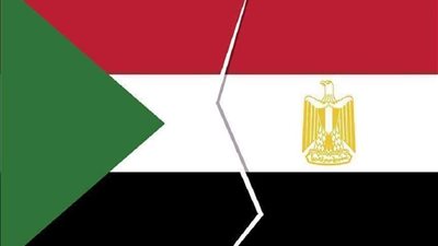 تعرف على حجم التبادل التجاري بين مصر والسودان.. فيديو