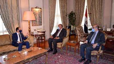 سامح شكري يستقبل وزير خارجية قبرص في القاهرة