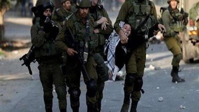 الخارجية: مصر تتحمل مسؤولية تثبيت وقف إطلاق النار في فلسطين