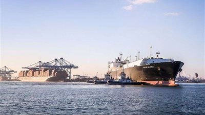 ميناء دمياط يستقبل 32 سفينة خلال 24 ساعة