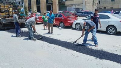 استمرار أعمال الحملات المكبرة للنظافة ورفع تراكمات القمامة بشوارع وميادين الدقهلية