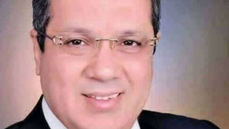 المستشار أحمد حلمى