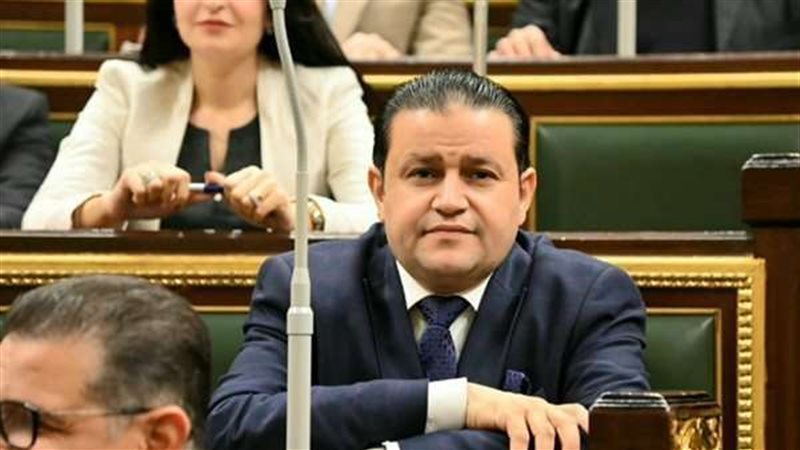 النائب شحاتة ابوزيد