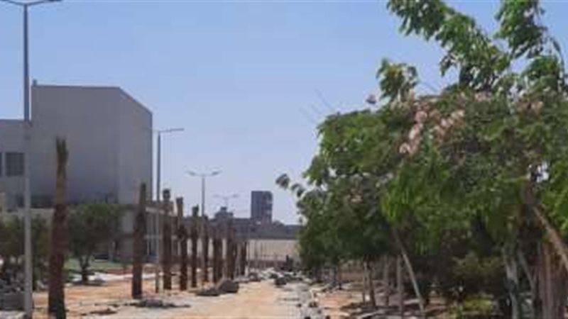 جامعة حلوان