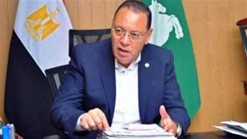 محافظ الشرقية