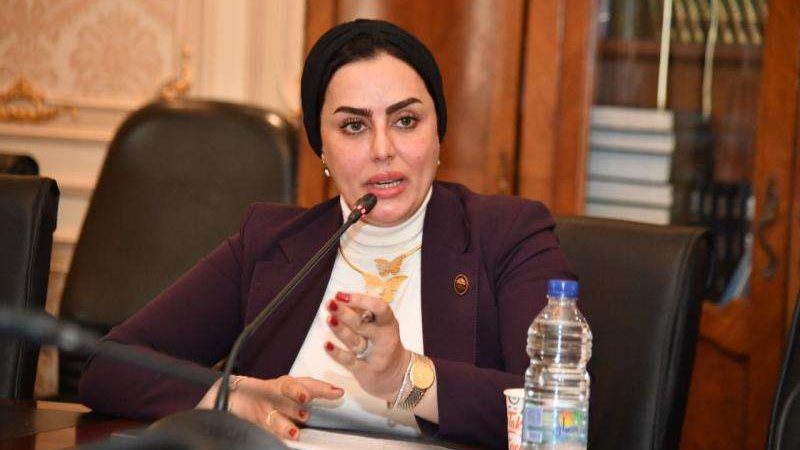 النائبة رحاب موسى