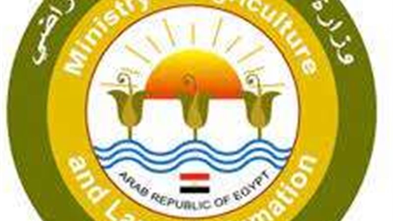 ارشفية