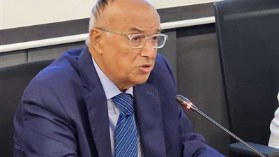 السفير محمود كارم: التقرير السنوي يرصد جهود الدولة لتطوير حالة حقوق الإنسان