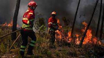 جهود قوات الحماية المدنية في السيطرة على الحرائق اليوم بجميع المحافظات