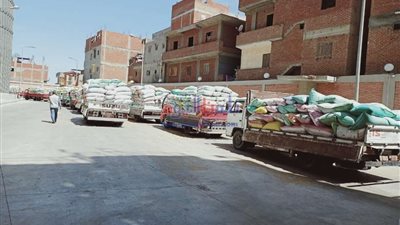 محافظ البحيرة: توريد ٢٦٤ الف طن قمح للصوامع والشون