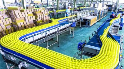 تعرف على تفاصيل خطة تنمية الإنتاج الصناعي.. فيديو