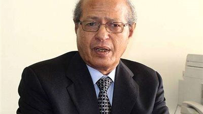 خاص.. مساعد وزير الخارجية السابق: قرار توفيق أوضاع الأجانب لا يؤثر على العلاقات الدبلوماسية لمصر