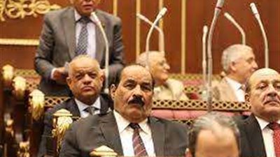 برلماني يطالب المجتمع الدولي بدعم الدول التى تعانى من مشكلات في قطاعي الصحة والسكان