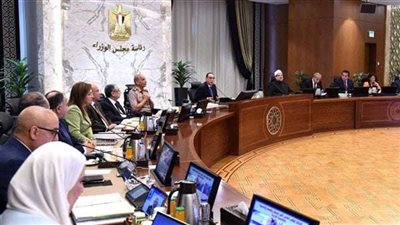 الوزراء تعتمد قرار رئيس الوزراء حول تخصيص 3 قطع أراض مملوكة للدولة