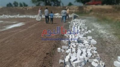 إزالة حالتي تعد على مساحة 600 متر مربع بالبحيرة