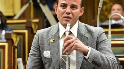 برلماني: توطين التنمية المستدامة على مستوى الجمهورية يعزز مفهوم اللامركزية