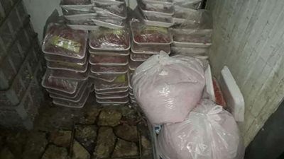 الجيزة تضبط 30 طن لحوم وأسماك ودواجن غير صالحة