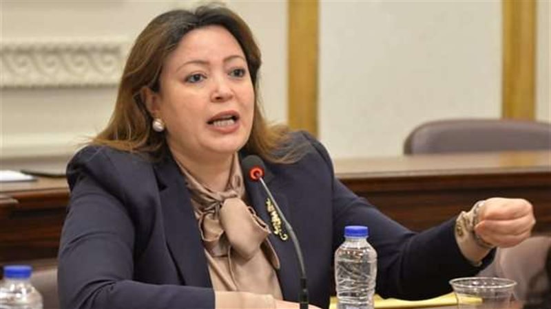 النائبة سماء سليمان