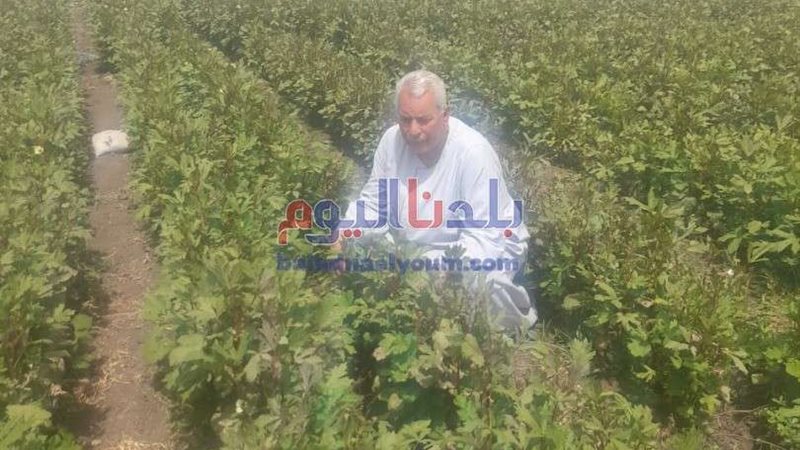 نقيب الفلاحين_ ارشفيه
