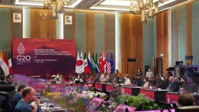 مصر تشارك في قمة العشرين 2023.. وخبير اقتصادي يوضح