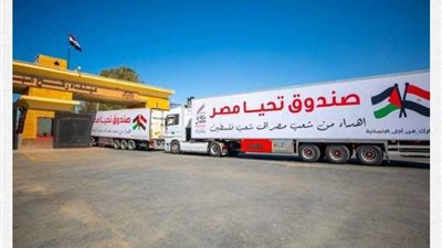 القافلة الثالثة من صندوق «تحيا مصر» تصل قطاع غزة