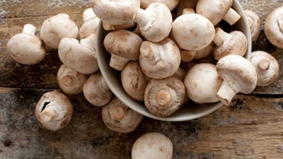 الزراعة تحسم علاقة الفطر الأسود بالمشروم.. فيديو