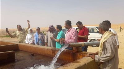 تنفيذا لتوجيهات وزير الزراعة.. فريق من مركز بحوث الصحراء في زيارة ميدانية إلى مركز نخل بسيناء