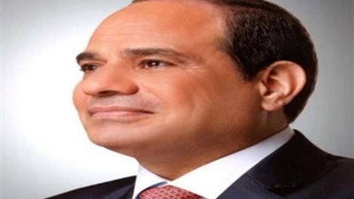الرئيس السيسي يوجه بسرعة إدخال معدات للمساهمة فى إعادة إعمار غزة