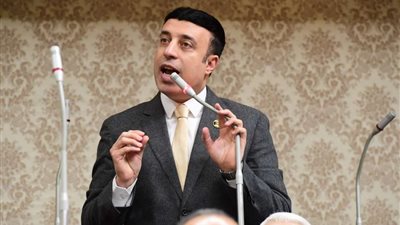 النائب أحمد الشناوي: المنتدى القومي للاستثمار يضع مصر كمركز إقليمي للخدمات اللوجستية