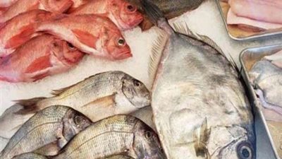 تعرف على أسعار السمك والجمبري خلال تعاملات اليوم في سوق الجملة