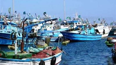 التضامن: رصد ١٥٠ مليون جنيه لتوفير مشروعات لفئة صغار الصيادين