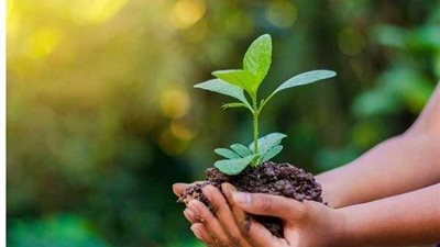 تزامنًا مع اليوم العالمي للبيئة.. ارتفاع كمية الطاقة الكهربائية المولدة من 