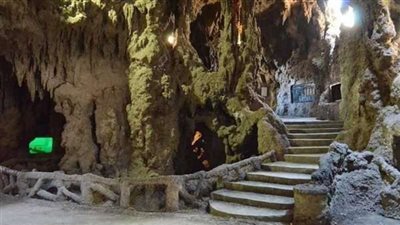 الحكومة تنفي قطع الأشجار النادرة والمعمرة في حديقة الأسماك بالزمالك