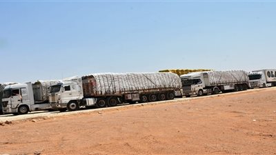 7 إجراءات عاجلة لحل أزمة تكدس الشاحنات على الحدود السودانية